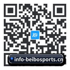 系统版 Android 二维码